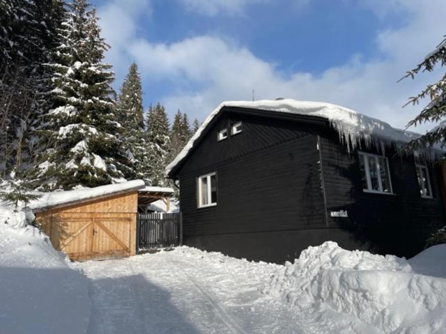 Nordik 1496 Appartement Vysoké Tatry Buitenkant foto